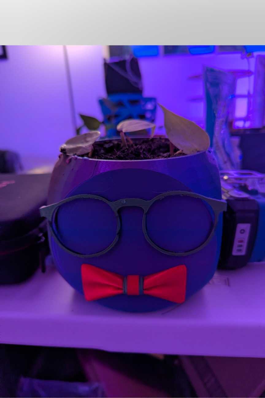 Bowtie and Glasses planter