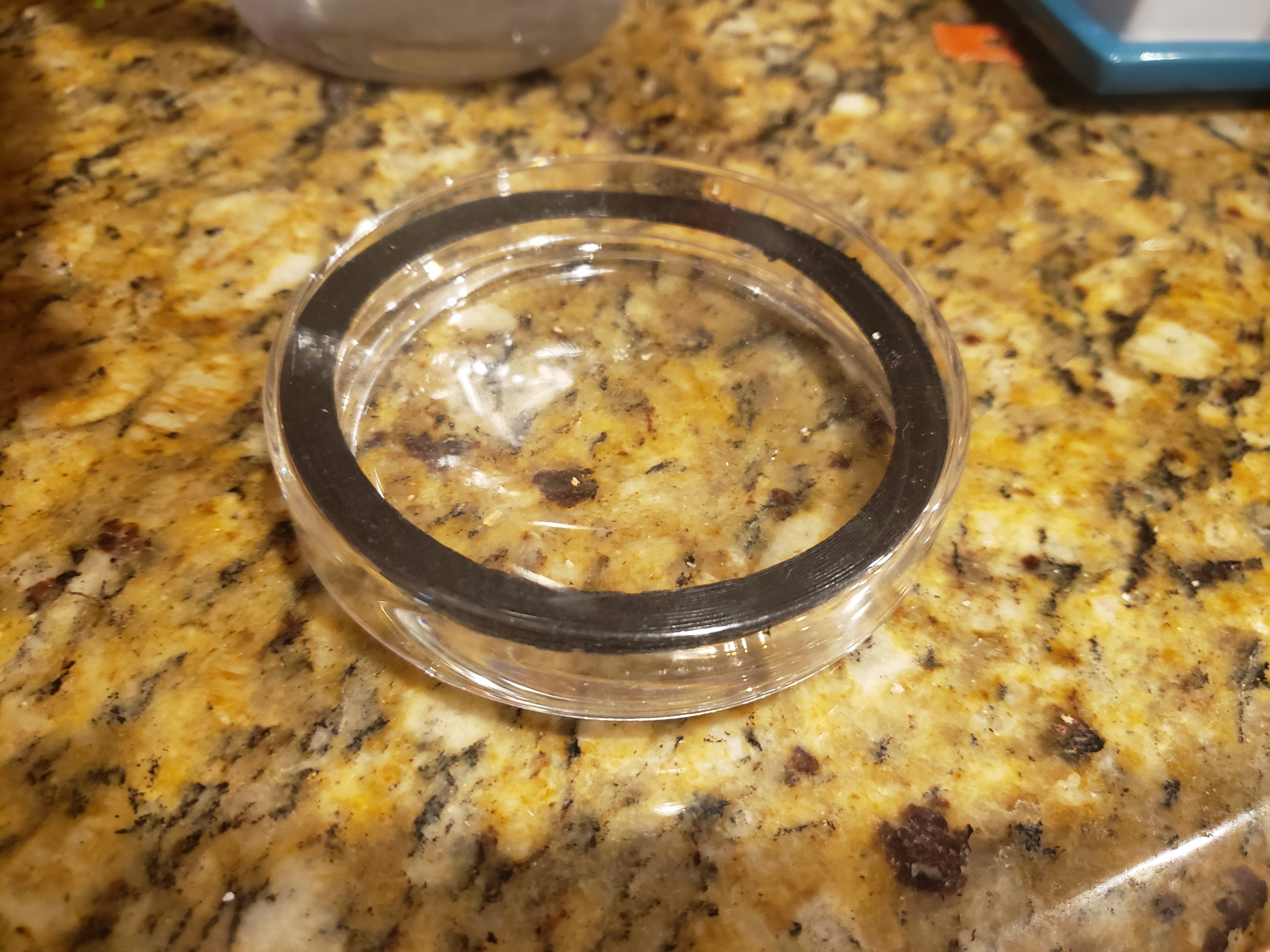 90mm Petri Dish Tri-Vent