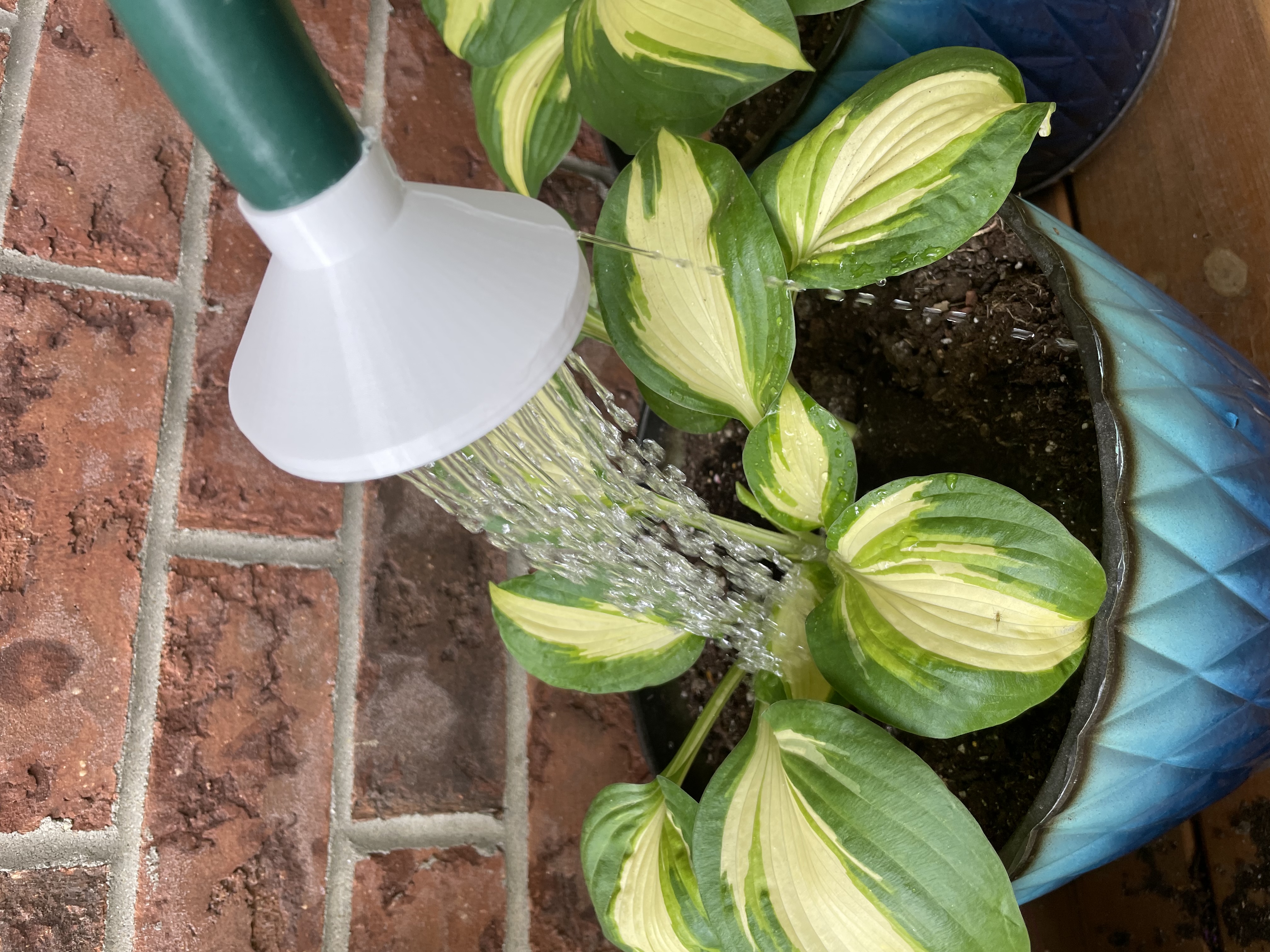 Watering Can Spout