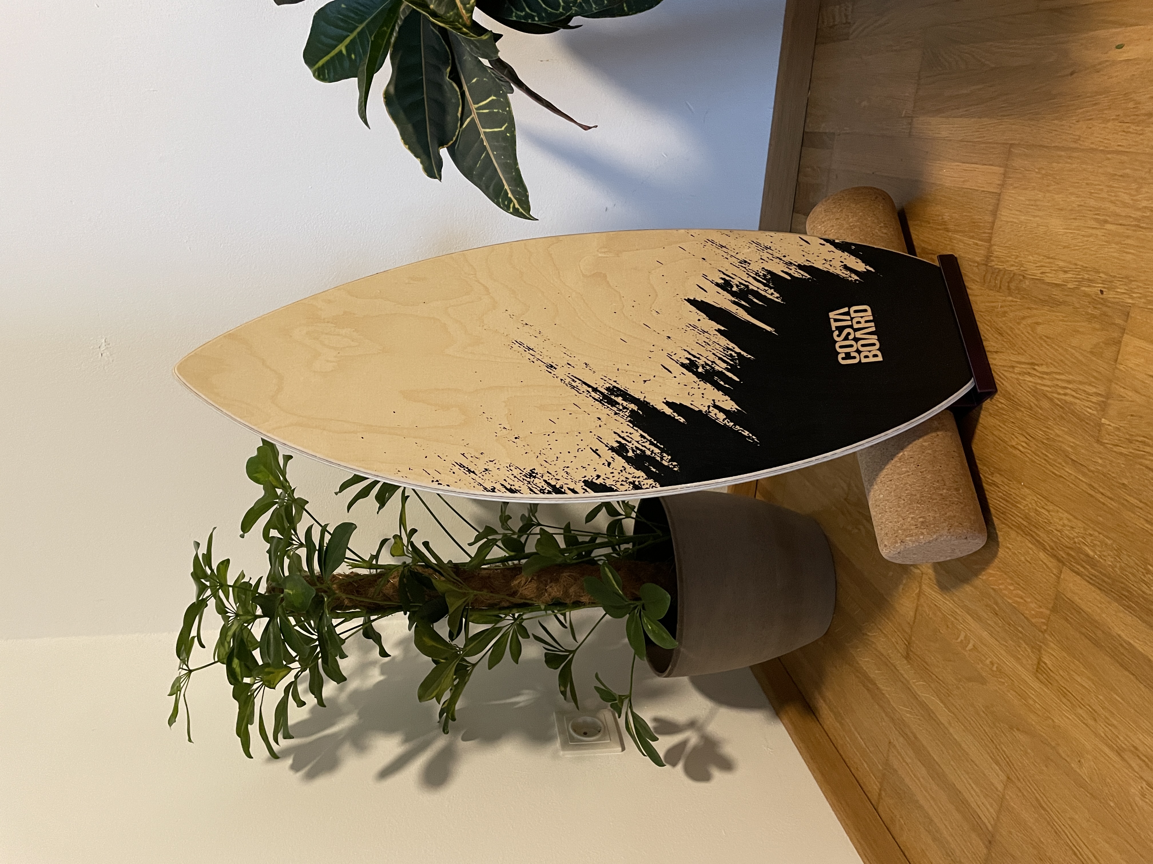 Balance Board Stand