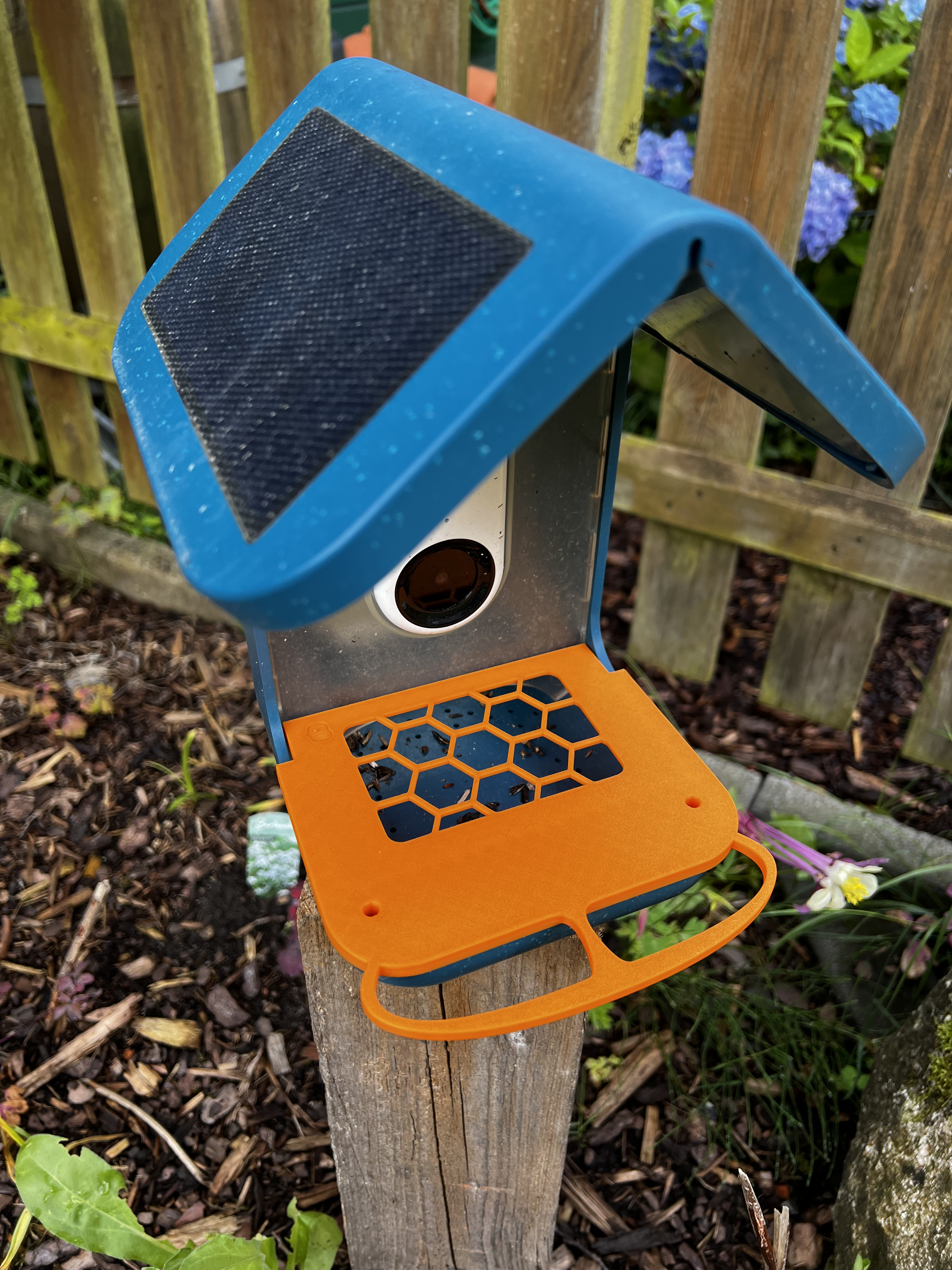 Bird Buddy Spillshroud