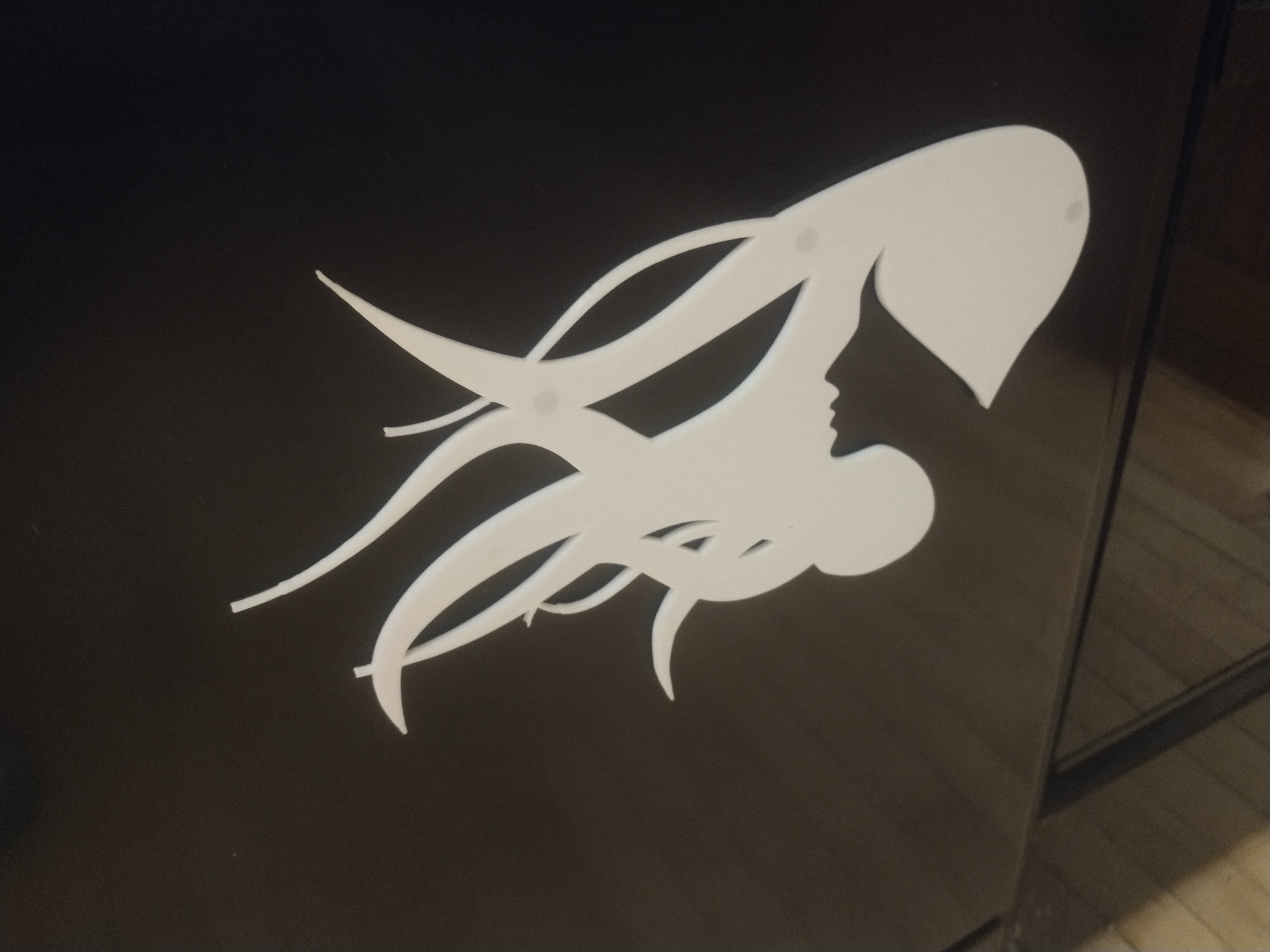 Woman with Flowing Hair Magnet Art