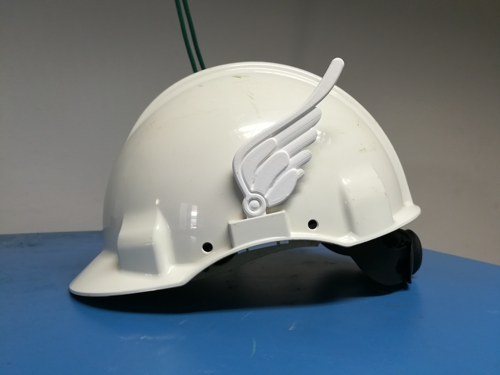 Wings for the hardhat