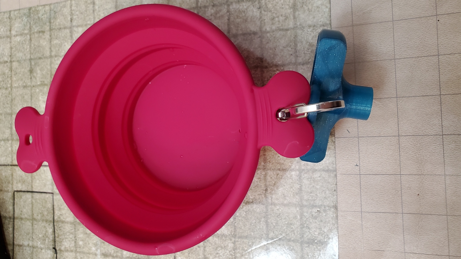 Water Bottle Funnel for Dog Dishes by TapirBlondeCactus Download free