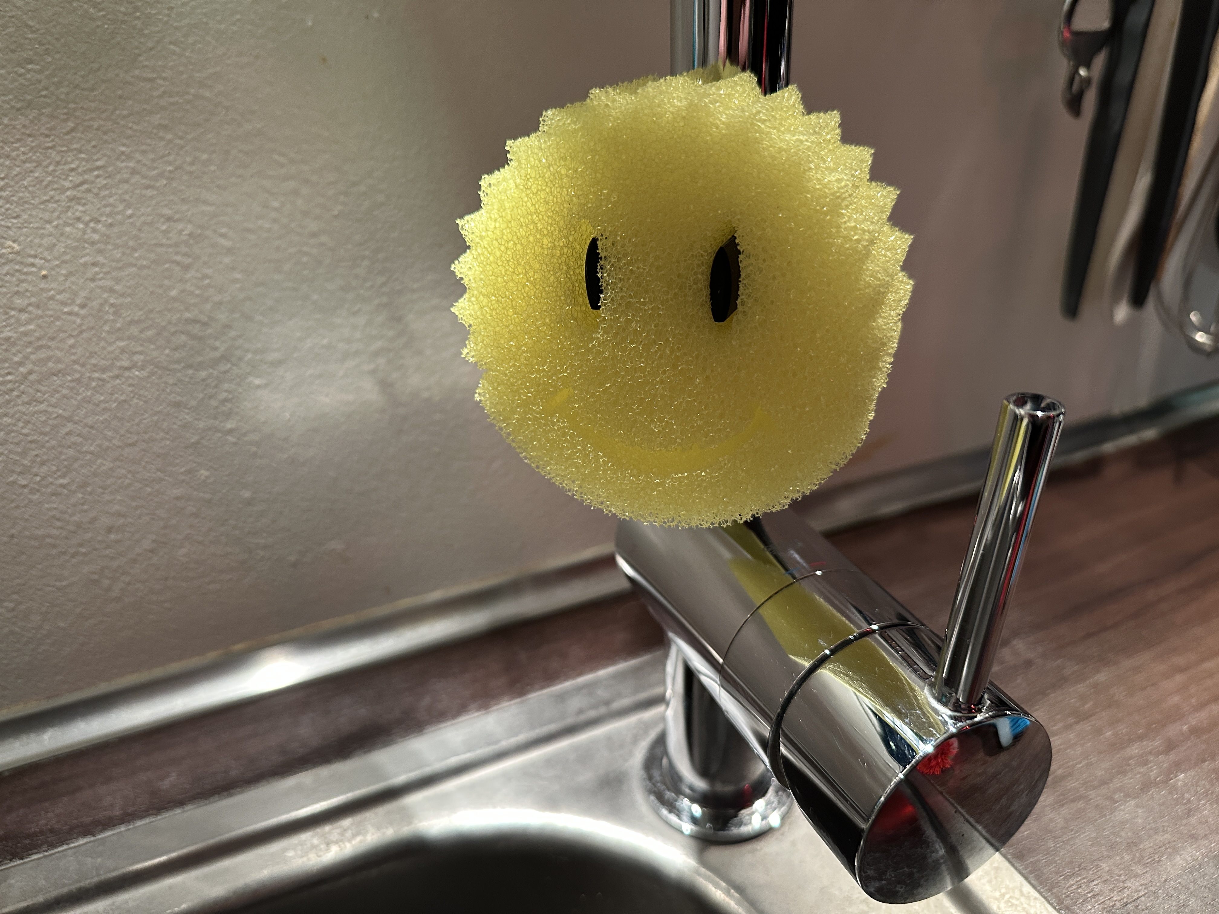 Clean Buddy Clip