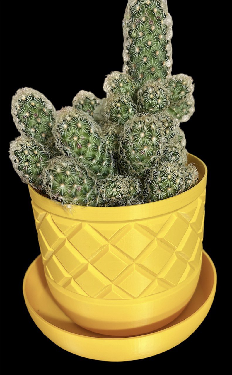 Single Pot Holder for Geometric Vases