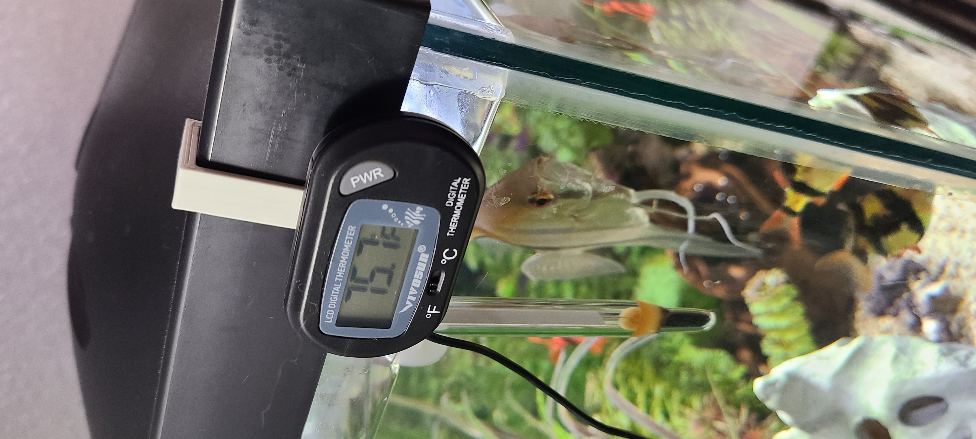 Aquarium Thermometer Hook