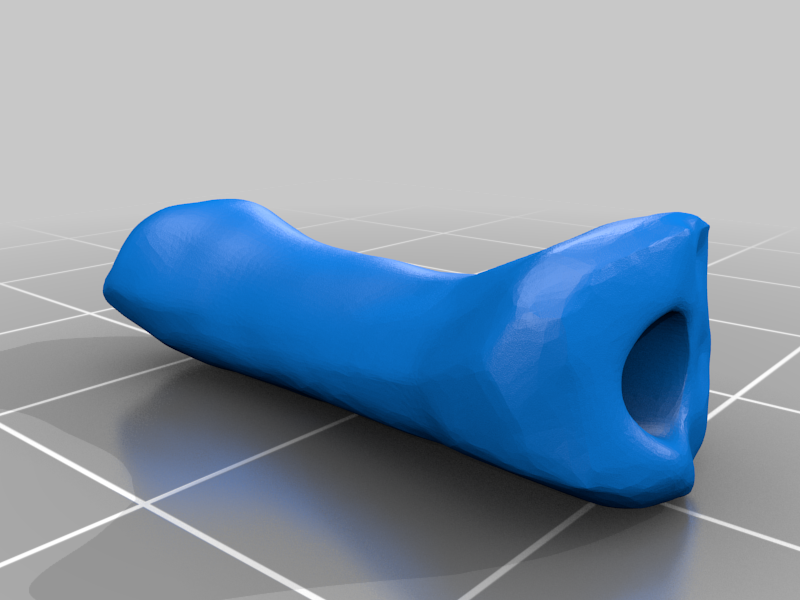 Human Knuckle Bones With Holes for Necklace by Willow Paquette