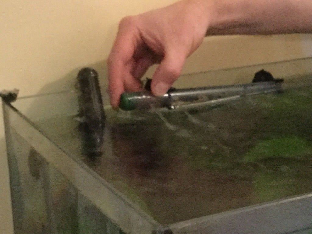 Fish tank spray bar plug by RealBadDad Download free STL model