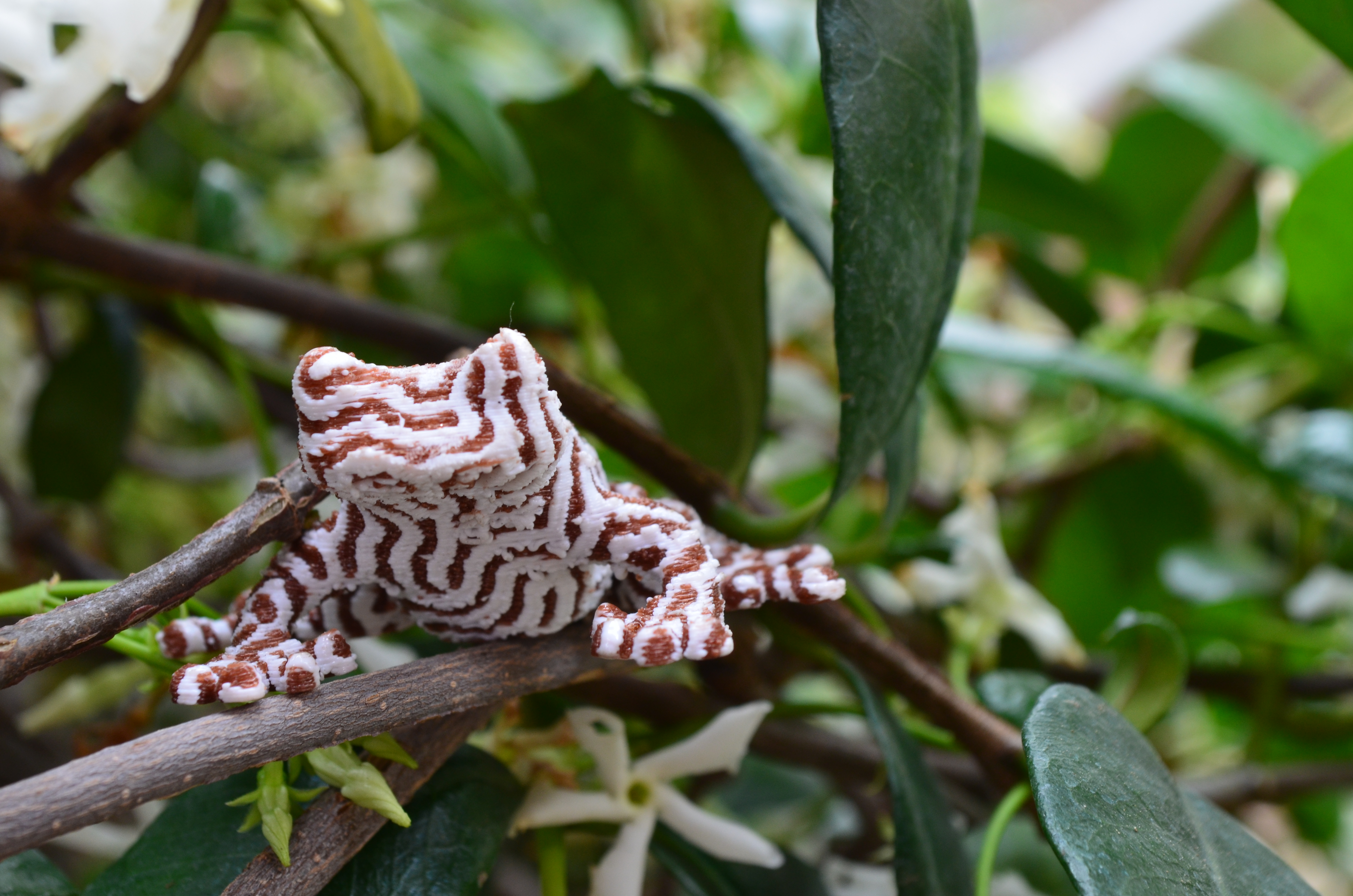 Miniatura 3 do modelo 3D Multi-Color Tree Frog