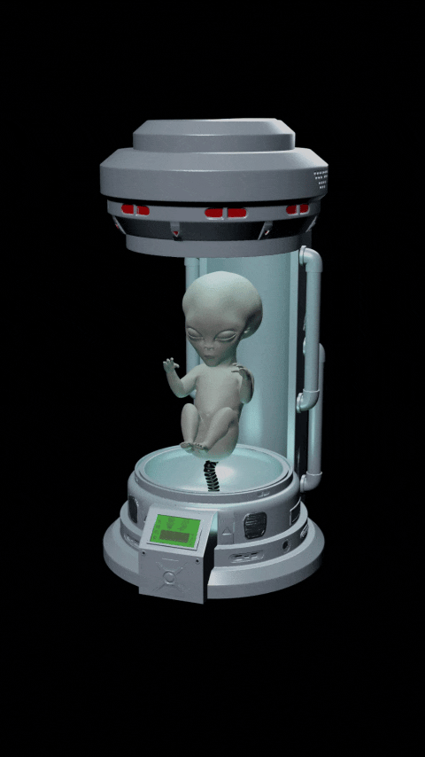 GREY ALIEN FETUS