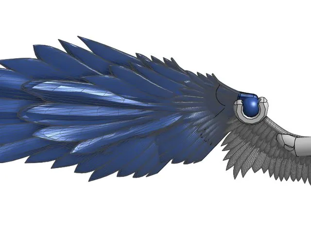 Carbon 13 F. Wings
