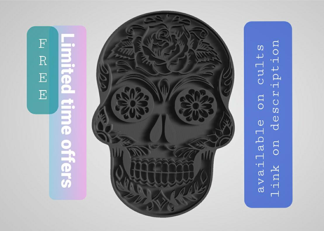 Human Skull 3d model