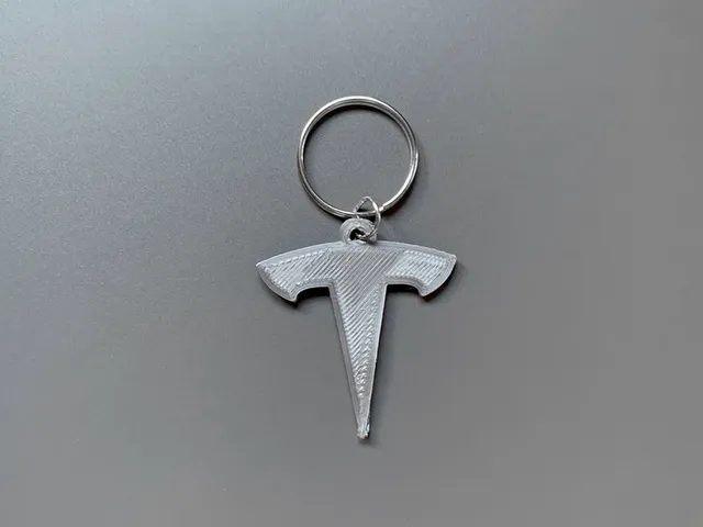 Tesla keychain