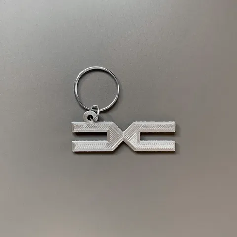 Dacia keychain