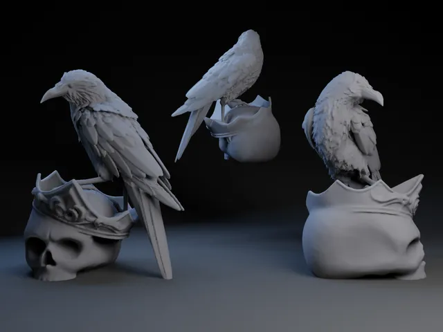 Crow On Skull
