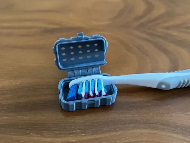 tooth brush cap