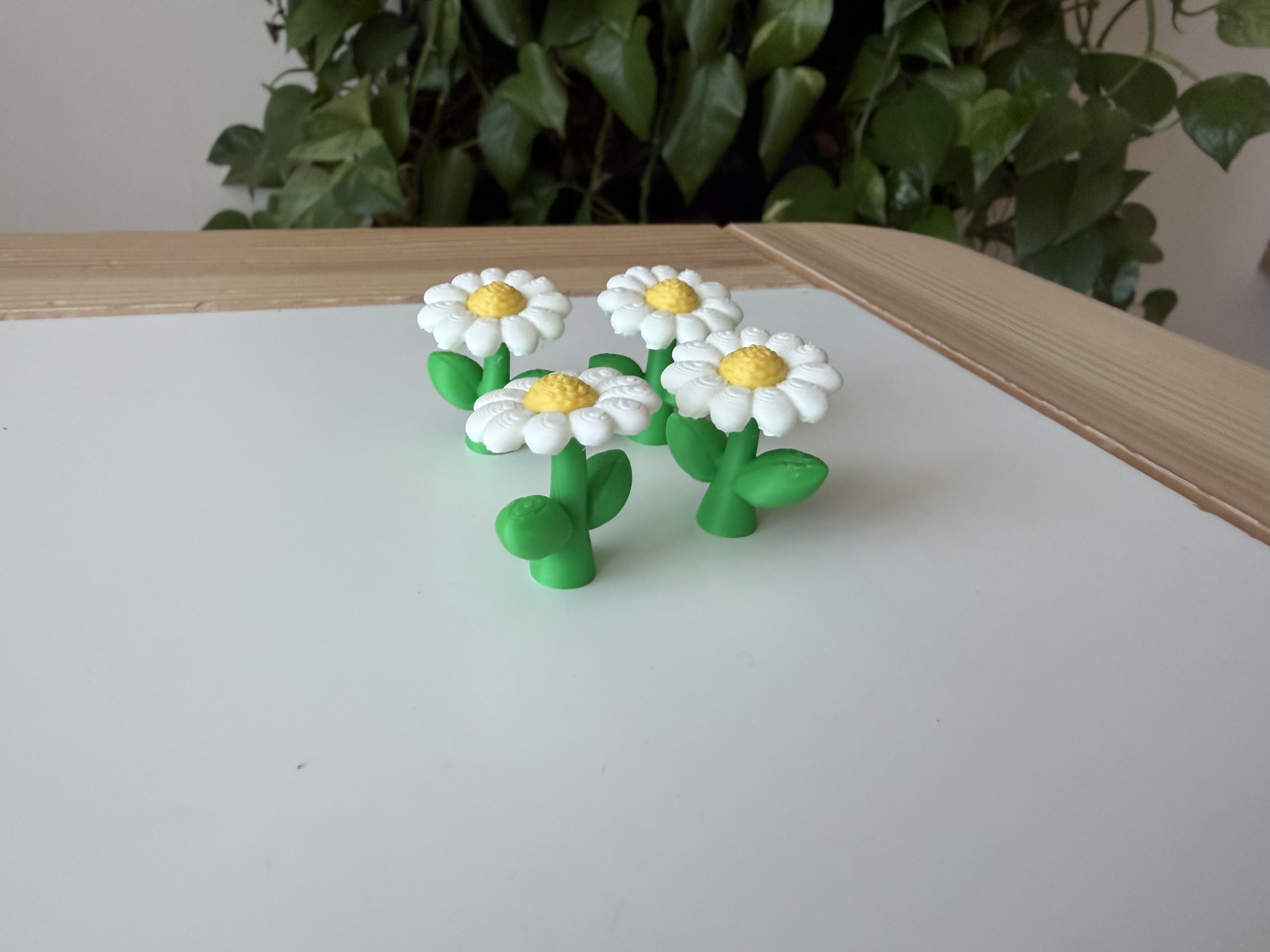 Miniatura 2 do modelo 3D Daisy