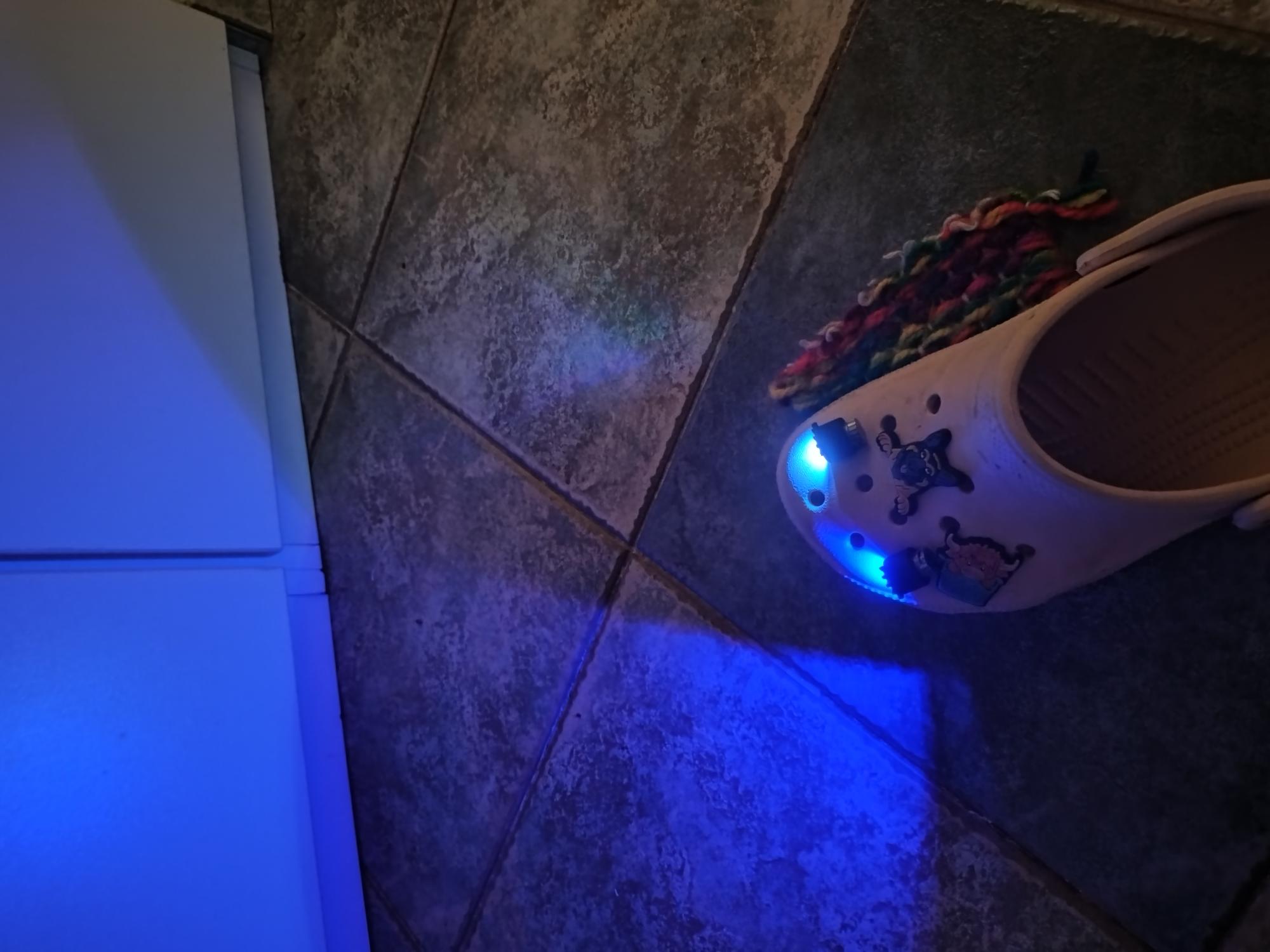 Croc Headlights charm / Sole Searchers