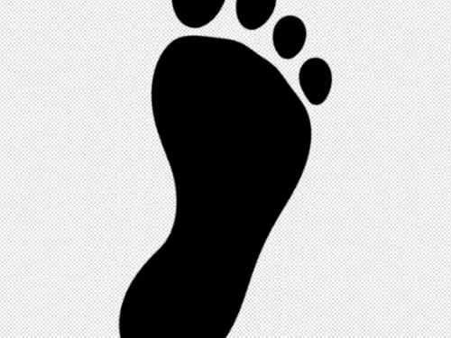 Foot decoration 2d