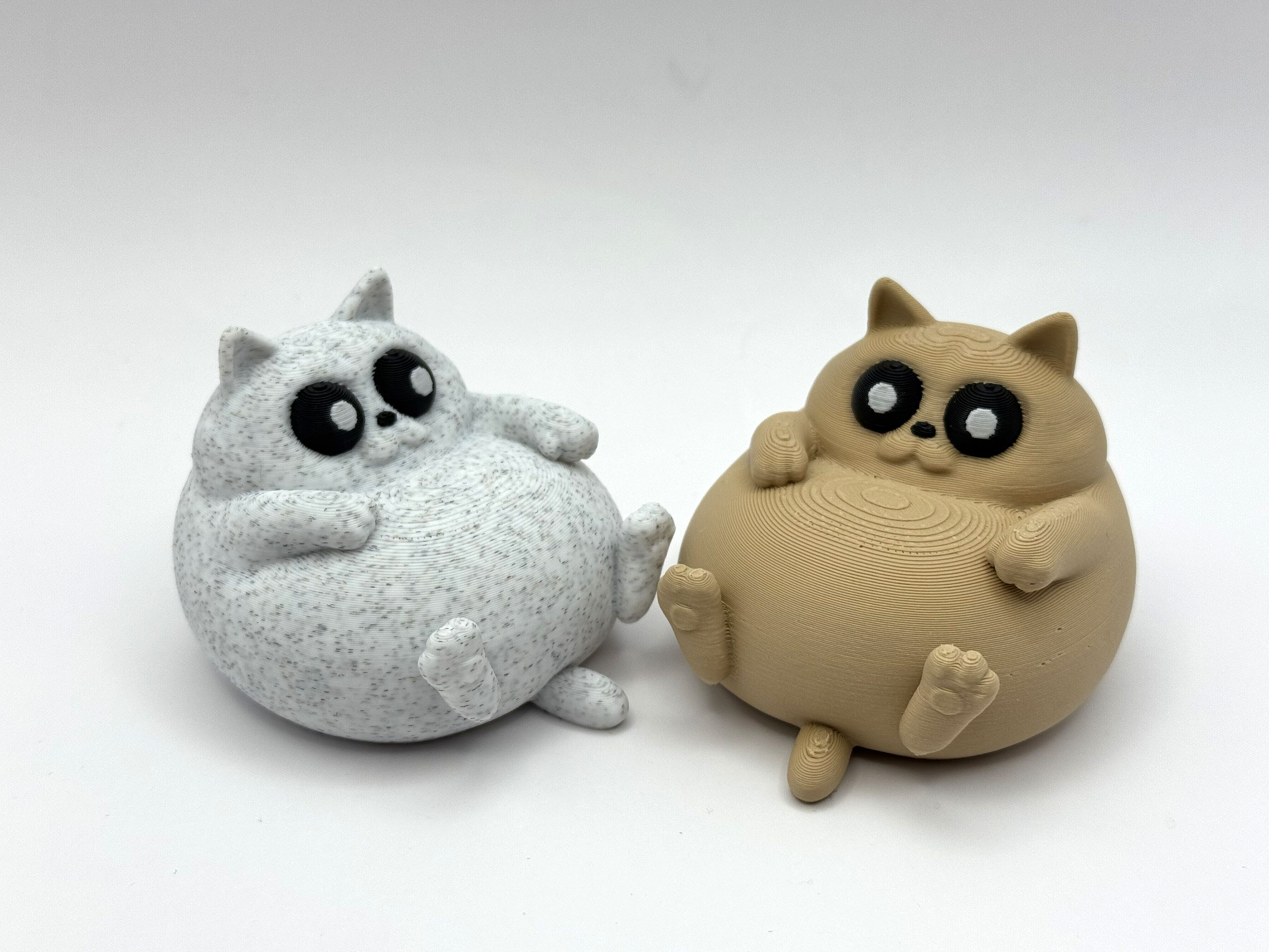Chill Chonky Cat