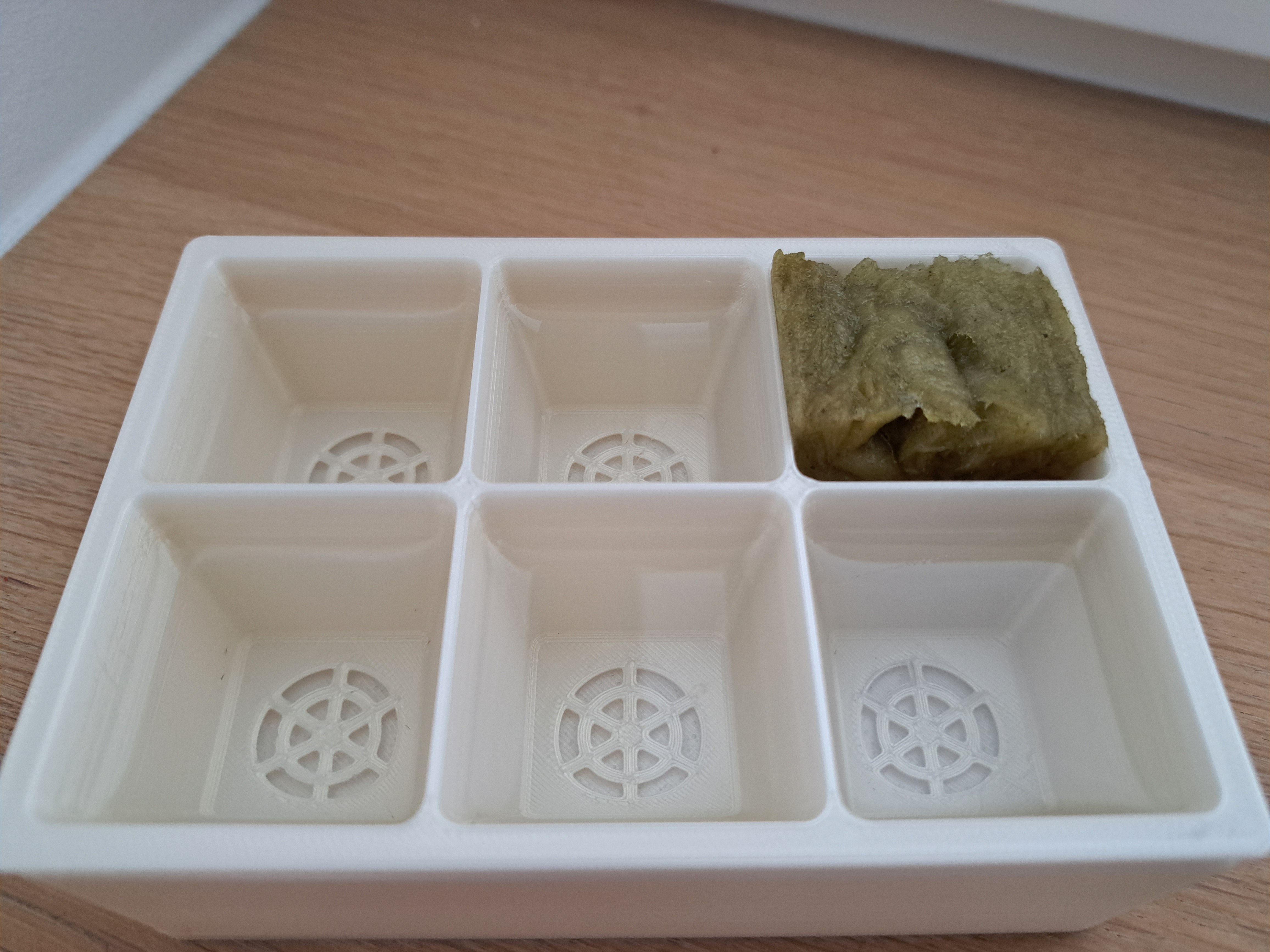 Germination setup for hydroponics — thumbnail 4
