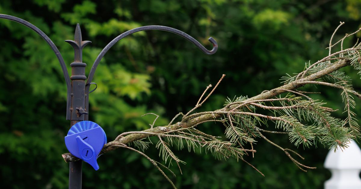 Branch Clamp for Bird Feeder Pole by A_Str8 Download free STL model