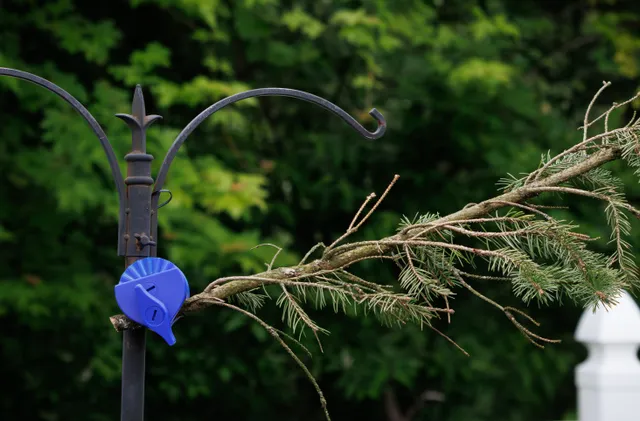 Branch Clamp for Bird Feeder Pole