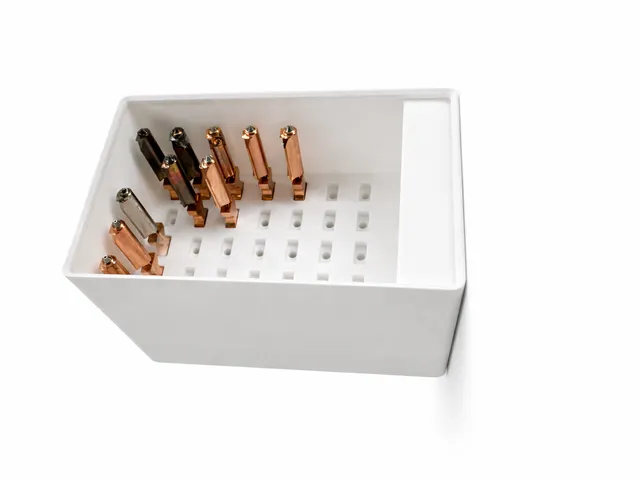 AD5X Gridfinity Nozzle Holder (2x3) – Organized Extruder Storage