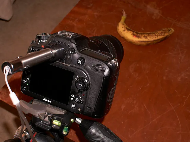 Nikon DSLR Laser Focus Sight
