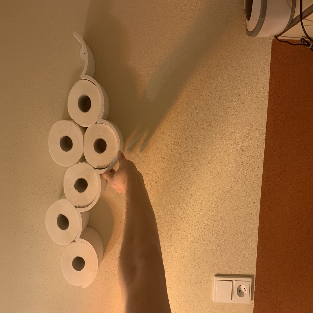 cloud-storage-for-toilet-paper-holder-shelf-by-willy-download