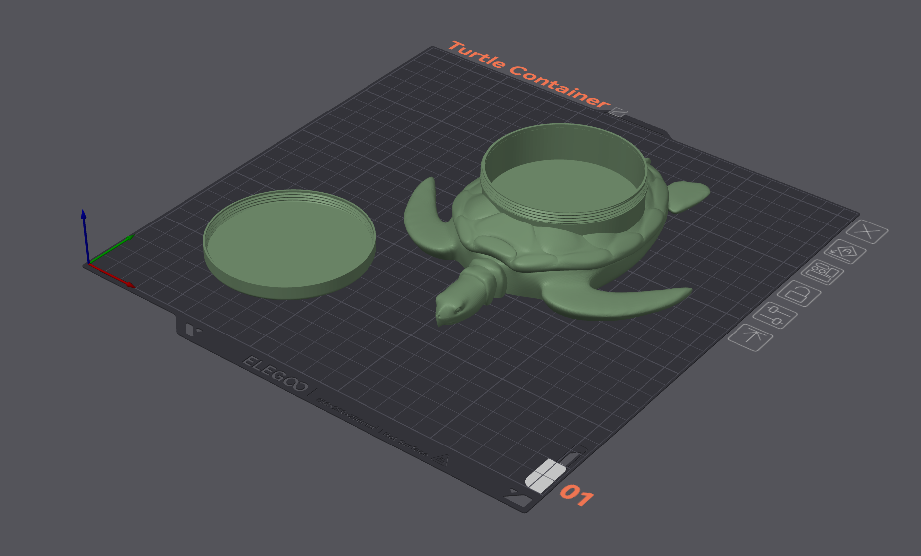 Sea Turtle Container
