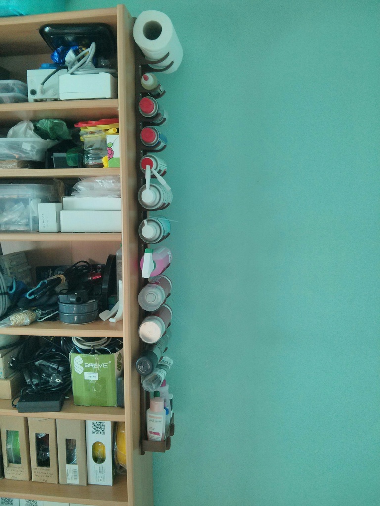 Hanged spray can holder