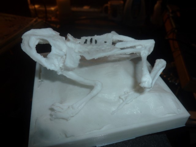 frog skeleton (Remix from lordlilapause )