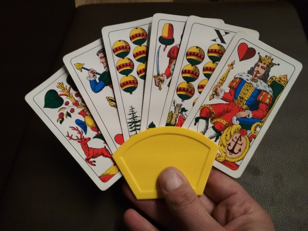 Card Holder for little hands - Kids Card holder