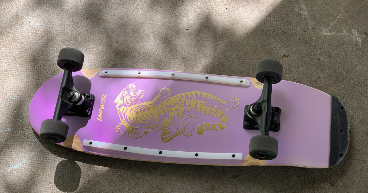 landyachtz dinghy tail guard