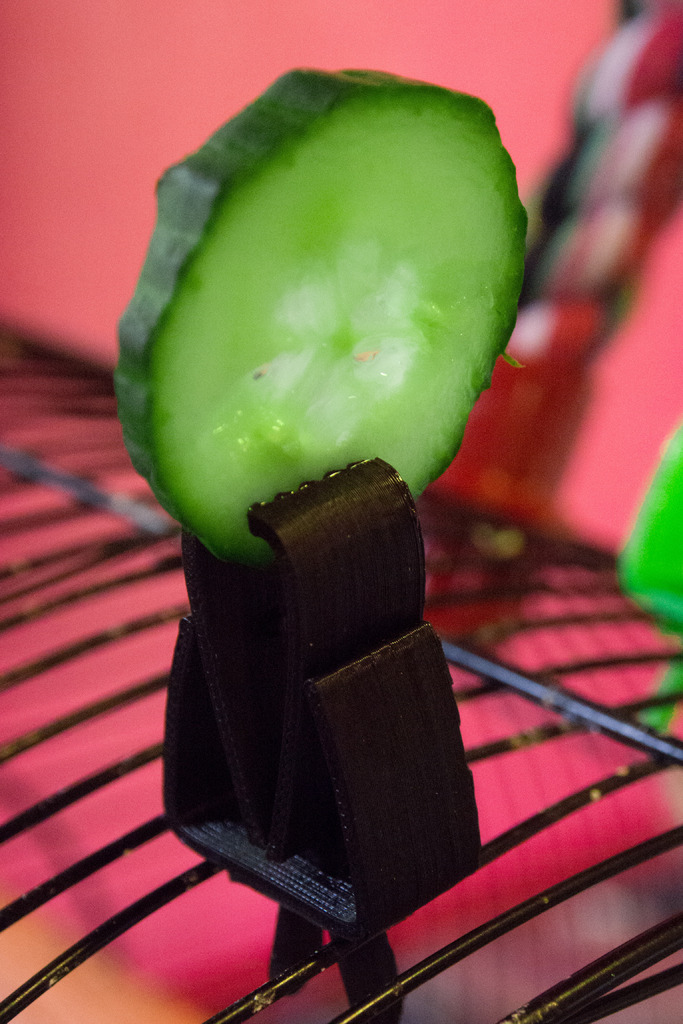 Bird food clamp for cage