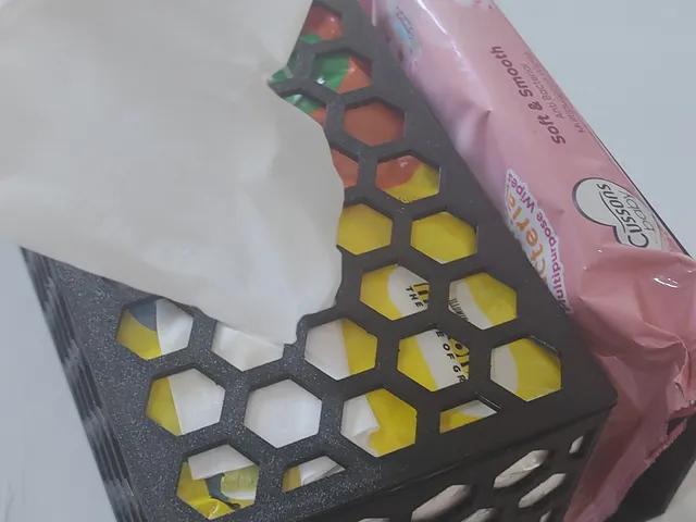 Wet and Dry Tissue Holder