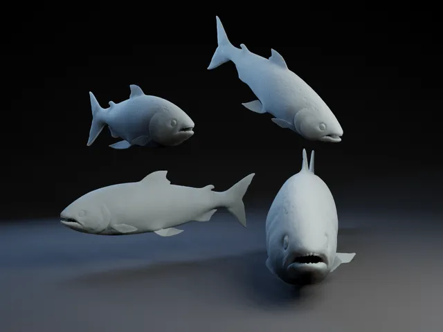 Fishy Fishy Fishy Fish