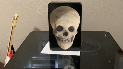 Optical illusion - Murray the tracking Skull