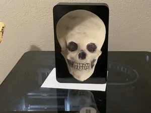 Optical illusion - Murray the tracking Skull