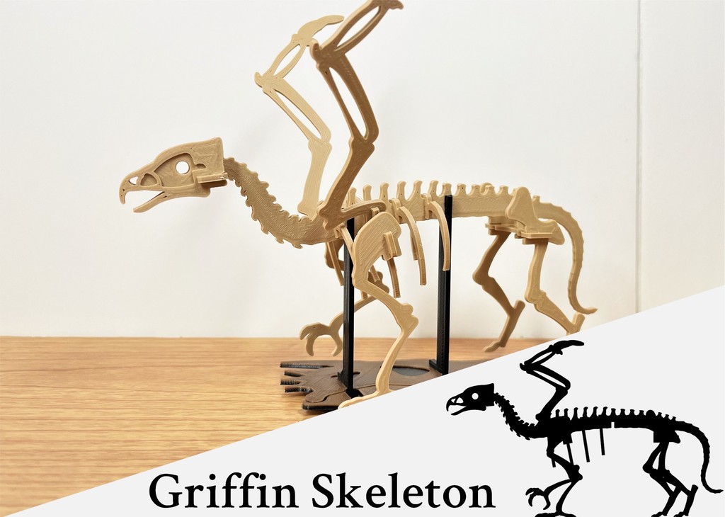 [Fantasy & Primal] Griffin Skeleton by STAG_B | Download free STL model ...