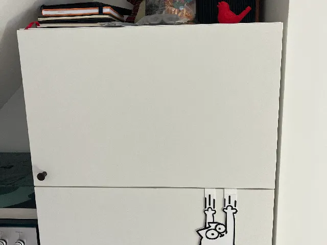 Simon's Cat suspended on IKEA door furniture