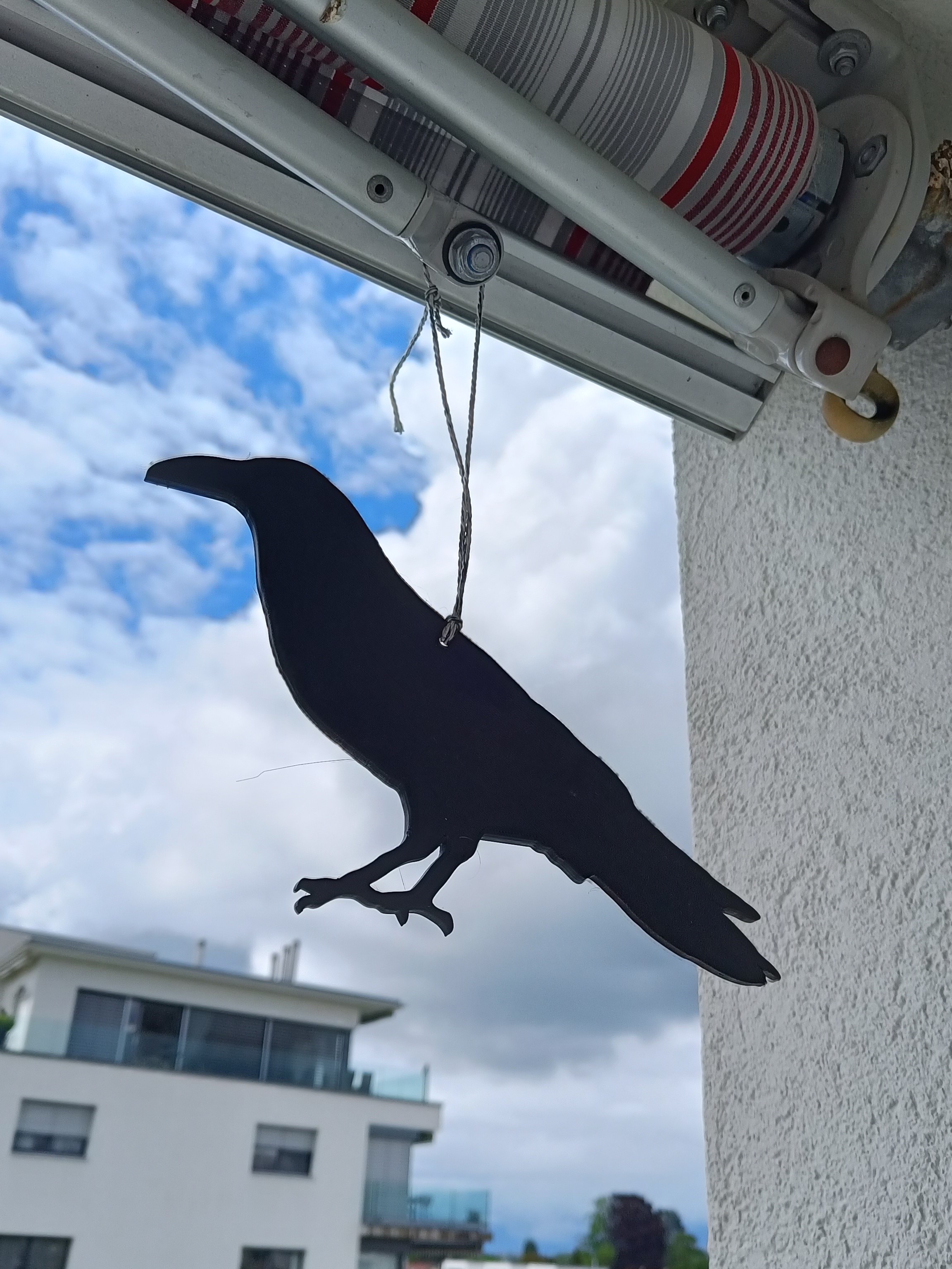 Bird Repelent / Fake Raven