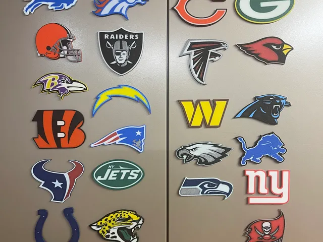 NFL Magnet logos