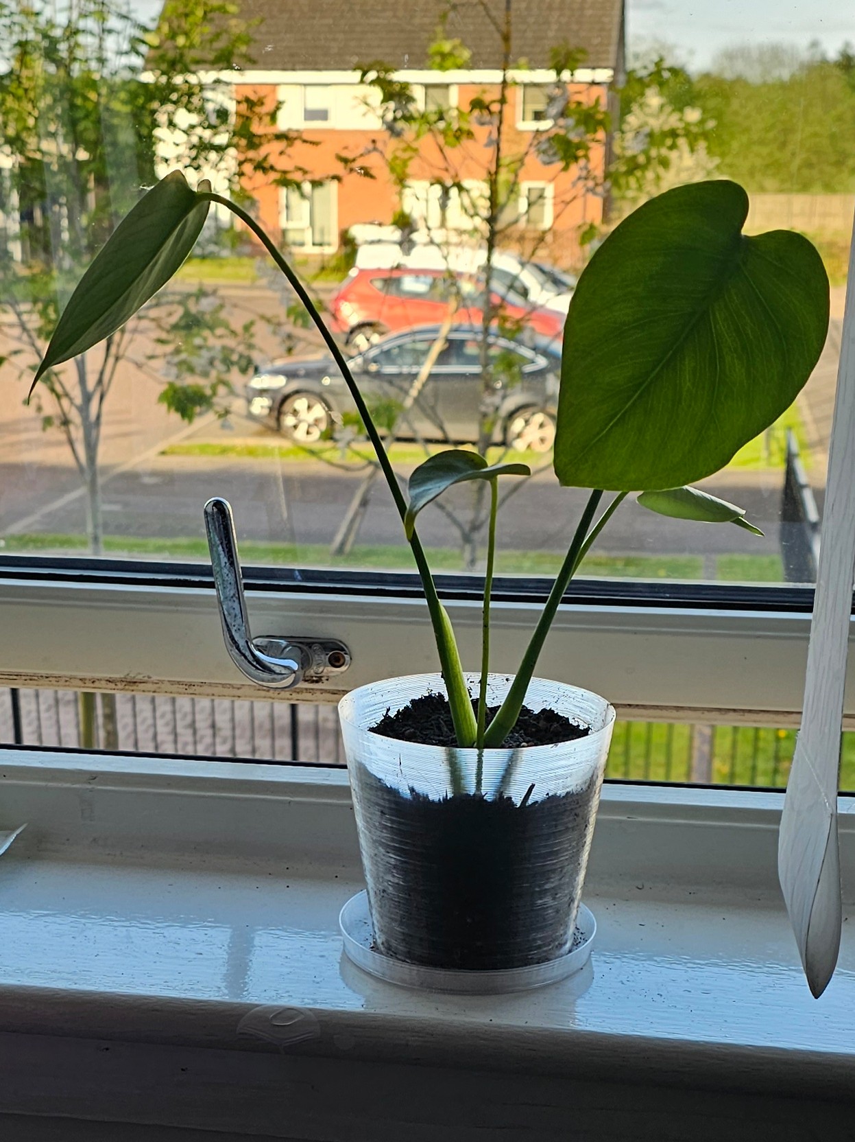 Miniatura 4 do modelo 3D Basic Aerated Planter