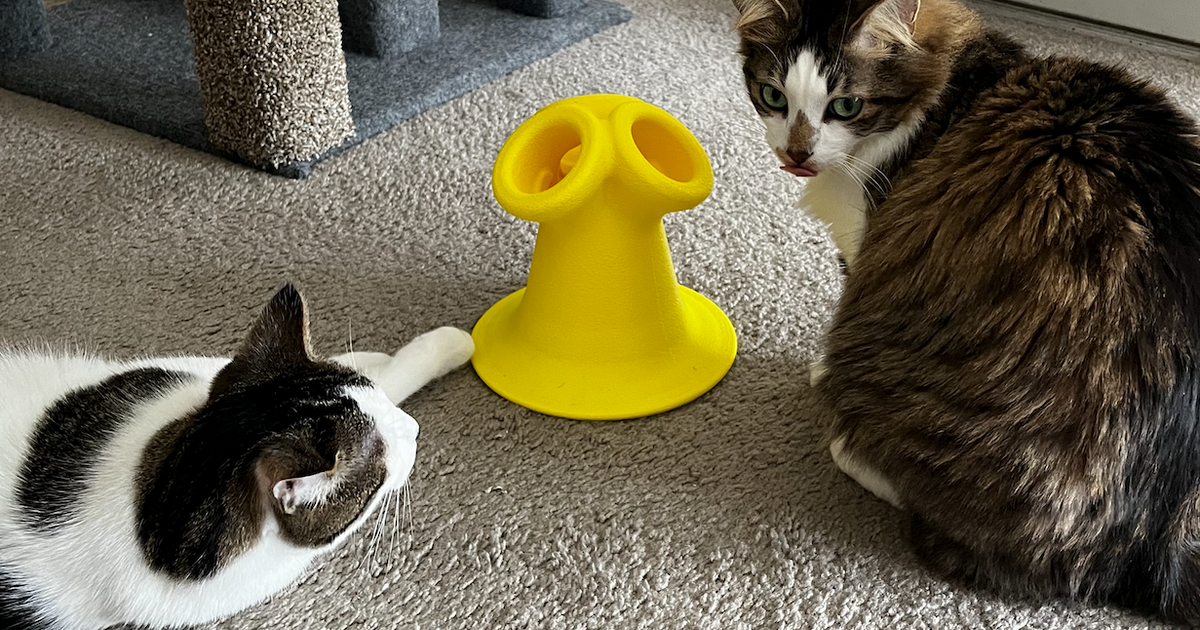 Cat Toy - Treat Dispenser Puzzle by kevin, Download free STL model