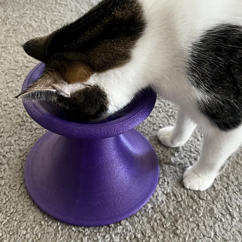 Cat Toy - Treat Dispenser Puzzle by kevin, Download free STL model