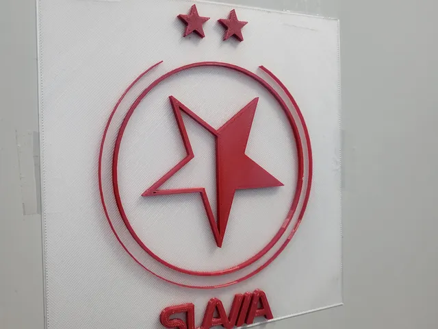 Logo Slavie