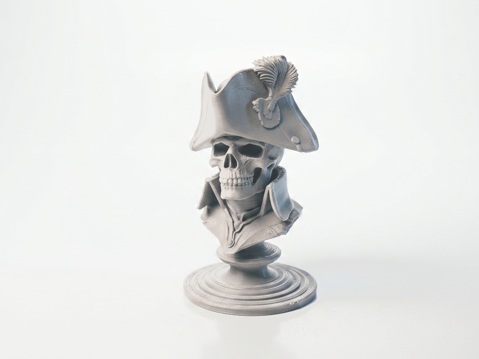 Napoleon Skull Bust Historical Sculpture 3D Printable
